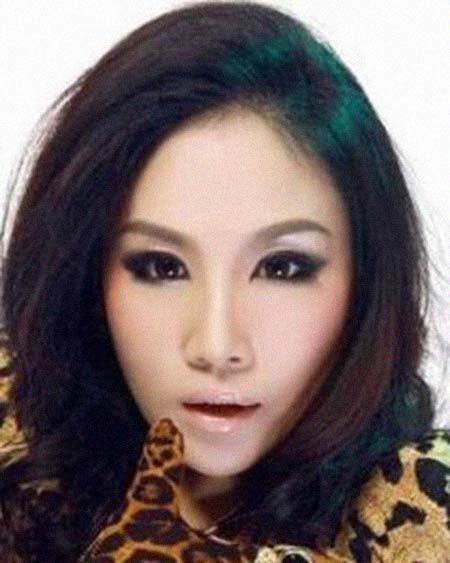 ���������͸���������Ƭ