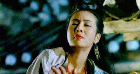 ����������͸���������Ƭ