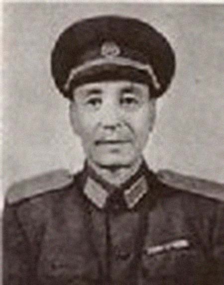 ���������͸���������Ƭ