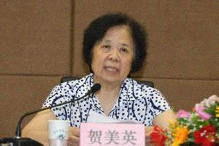 ����Ӣ�����͸���������Ƭ