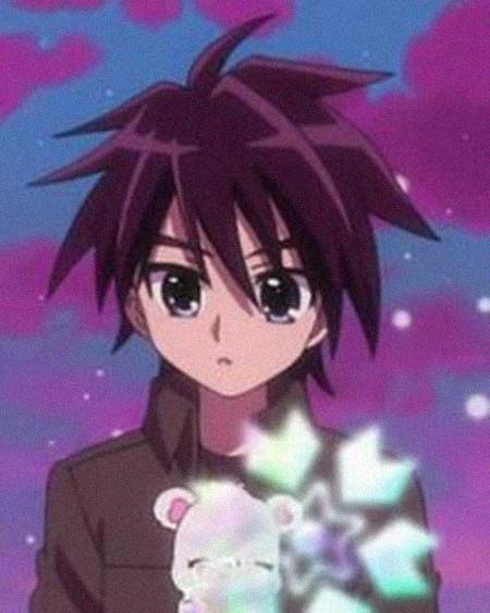 �������������͸���������Ƭ