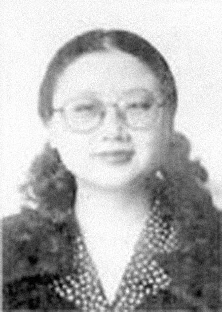 ��Ө�����͸���������Ƭ