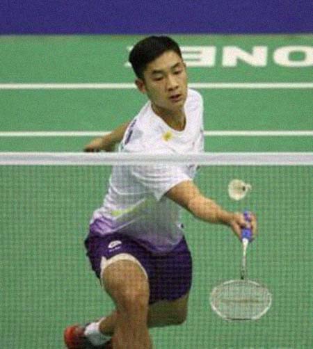 �����������͸���������Ƭ