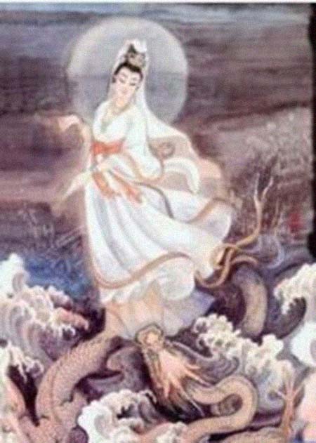 ���Ƽ����͸���������Ƭ