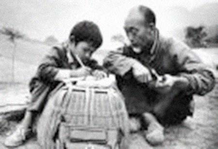 ����������͸���������Ƭ