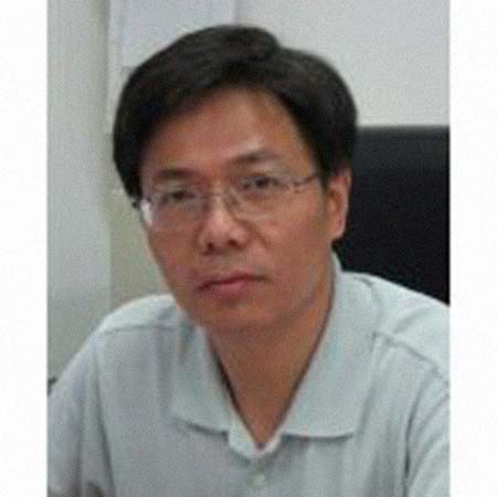 ����������͸���������Ƭ