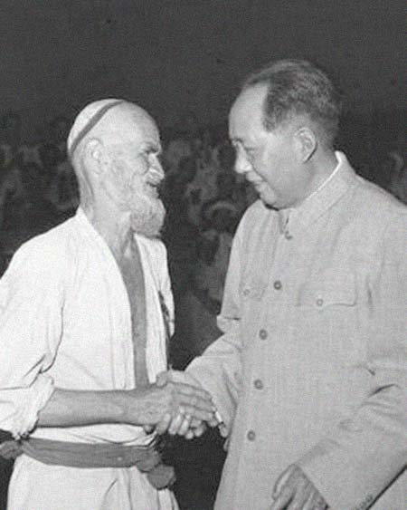 ������������͸���������Ƭ