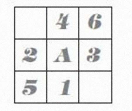 �����ܼ����͸���������Ƭ