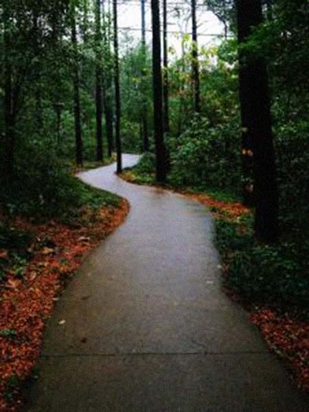 ���������μң������͸���������Ƭ