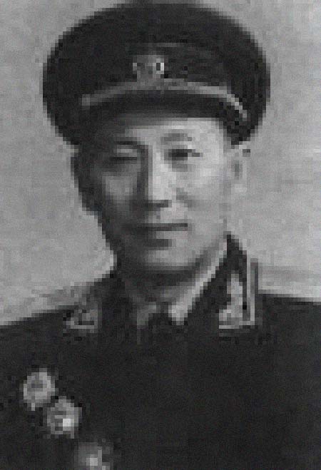 ���������͸���������Ƭ