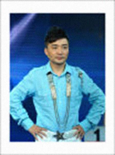 ���������͸���������Ƭ