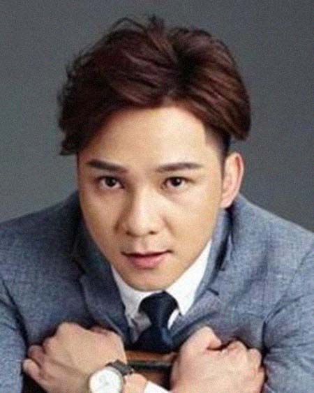 ����������͸���������Ƭ