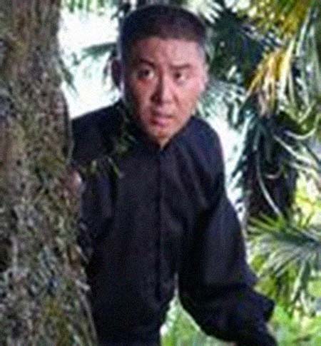 ���������͸���������Ƭ