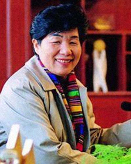 ���ټ����͸���������Ƭ