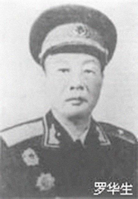 �޻��������͸���������Ƭ