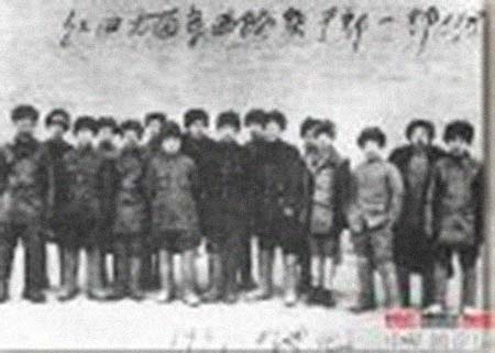 �ܺ񷢼����͸���������Ƭ