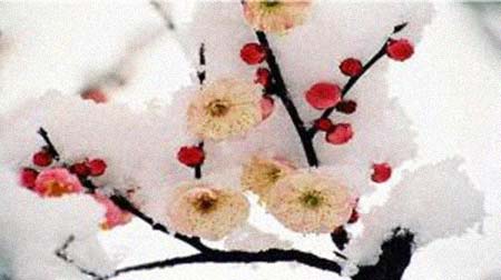 �뼺�����͸���������Ƭ