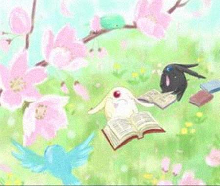 Ħ���ü����͸���������Ƭ