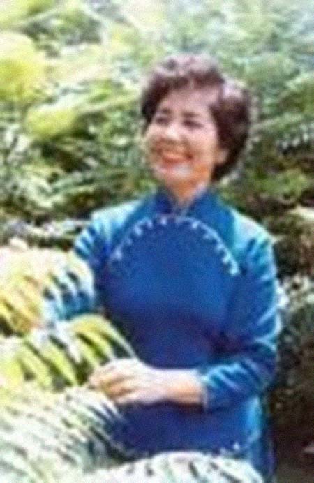 ����������͸���������Ƭ