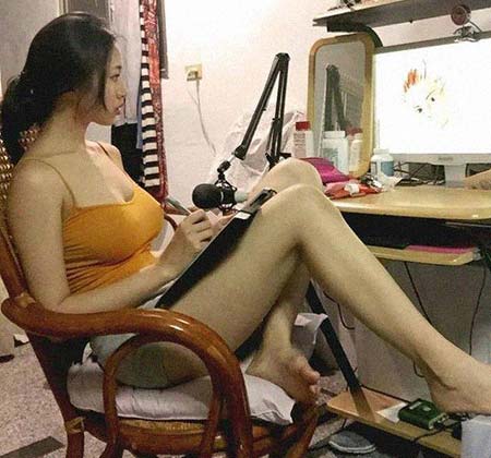 ����������͸���������Ƭ