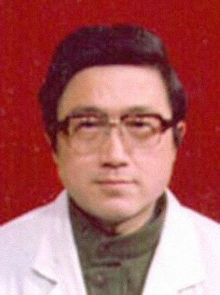 ����������͸���������Ƭ