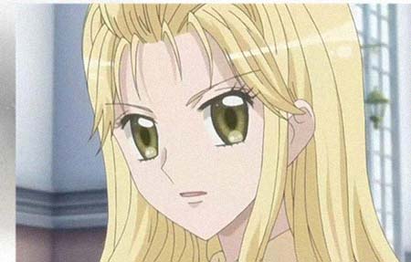 ��������������͸���������Ƭ