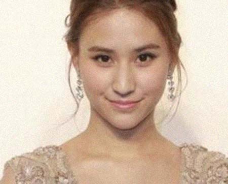 �γ��������͸���������Ƭ