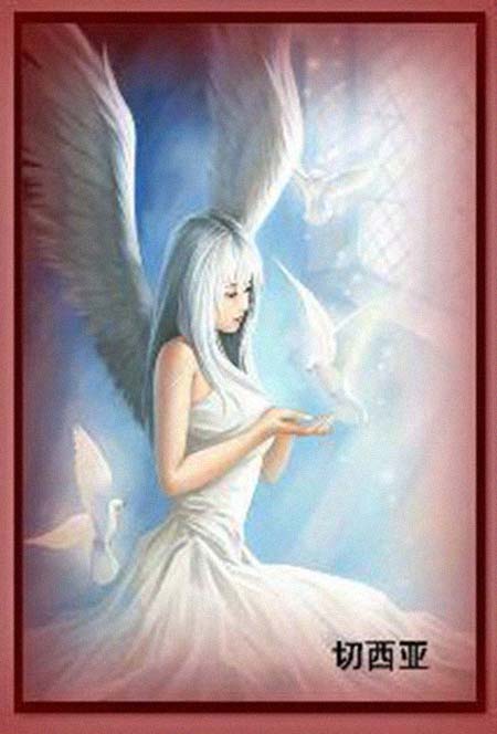 ����櫼����͸���������Ƭ