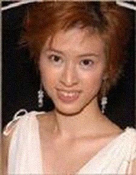 �¿��������͸���������Ƭ