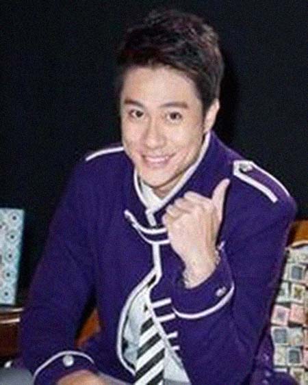 ���������͸���������Ƭ