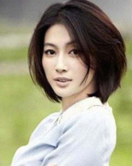 ����������͸���������Ƭ