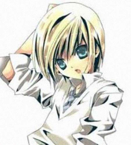 �������������͸���������Ƭ