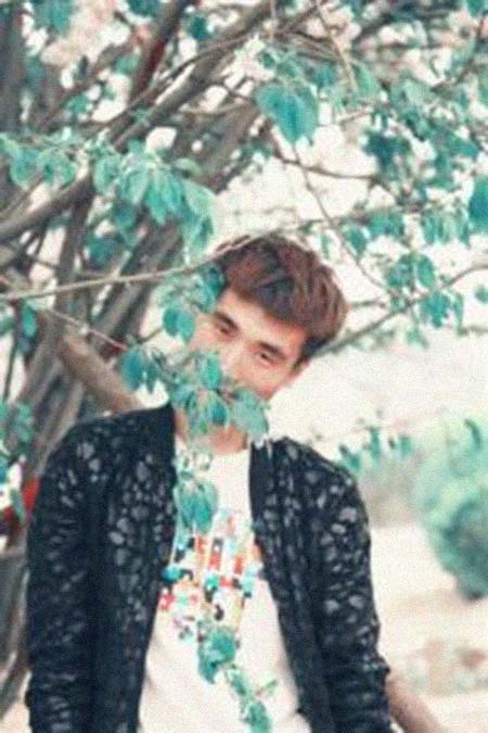 ���ᣨ��������͸���������Ƭ