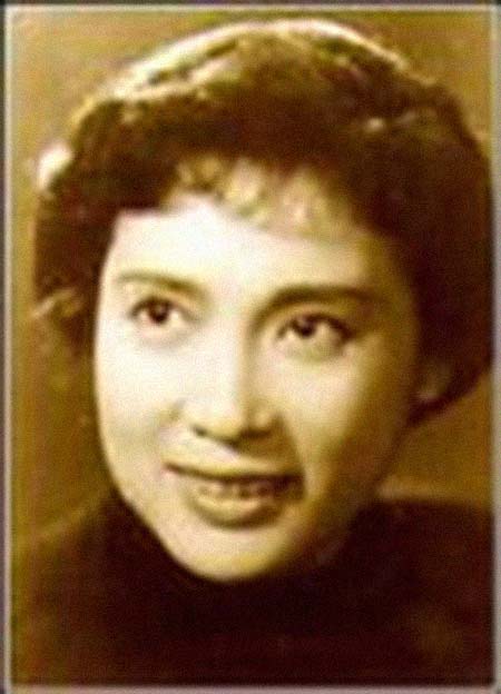 ���������͸���������Ƭ