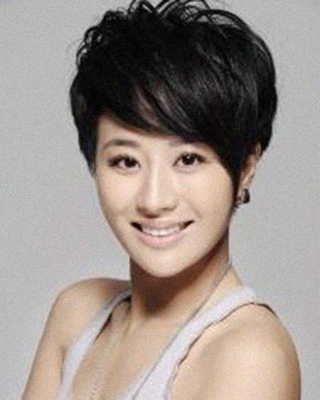 ����������͸���������Ƭ