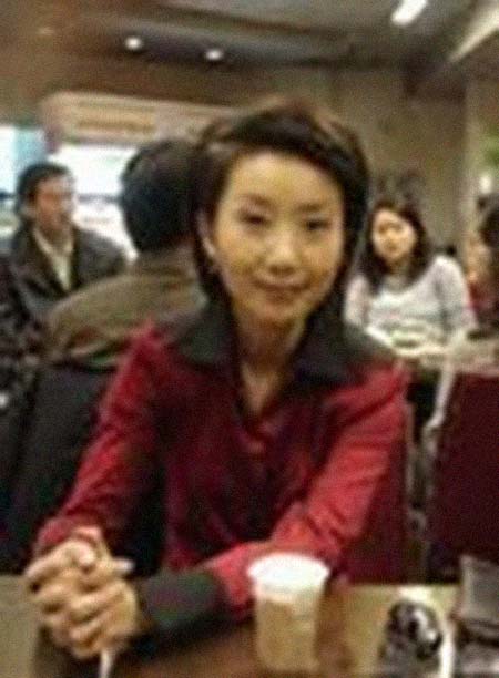 ���������͸���������Ƭ