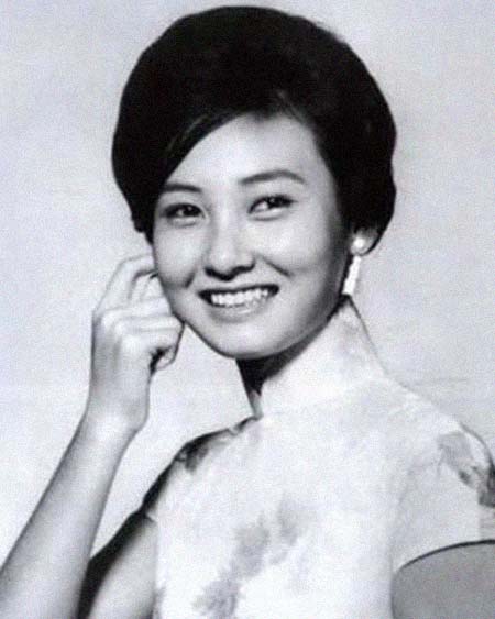 �����������͸���������Ƭ