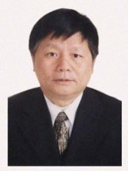 ����������͸���������Ƭ