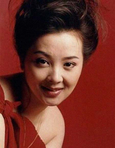 ���������͸���������Ƭ