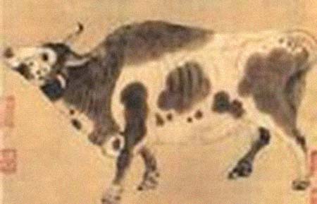 ��������͸���������Ƭ