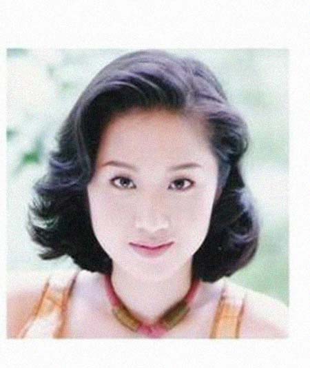 �������͸���������Ƭ