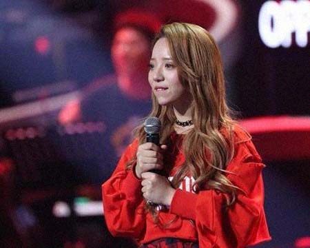 ����������͸���������Ƭ