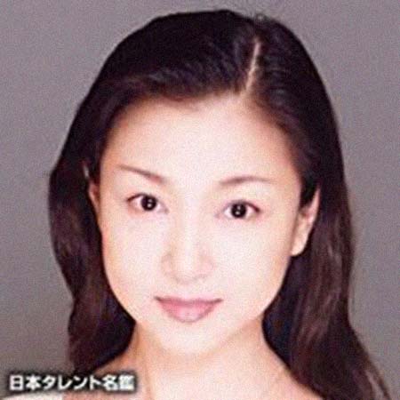 ���˼��������͸���������Ƭ