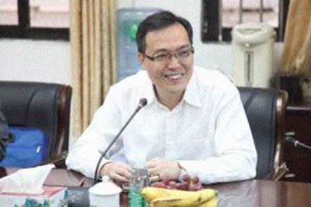 ����������͸���������Ƭ