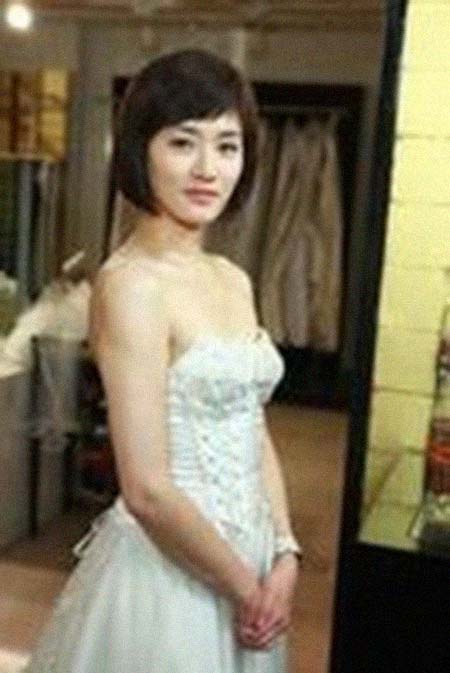 ����ɼ����͸���������Ƭ