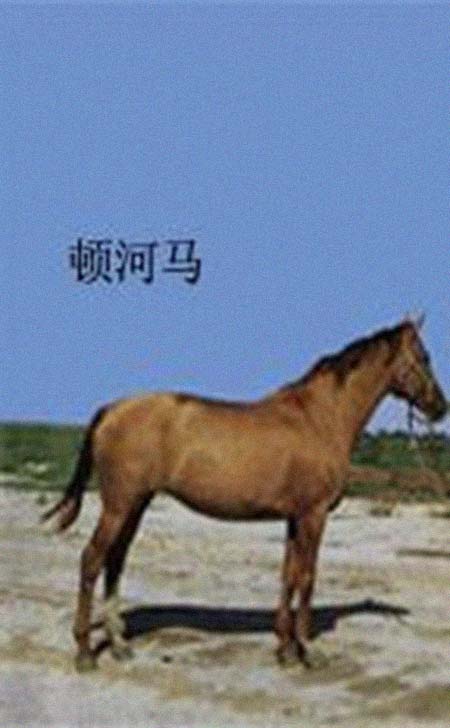 �ٺ��������͸���������Ƭ