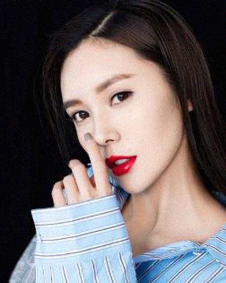 ����������͸���������Ƭ