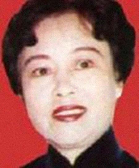 ����������͸���������Ƭ