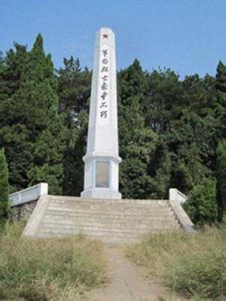 ���ϼ����͸���������Ƭ