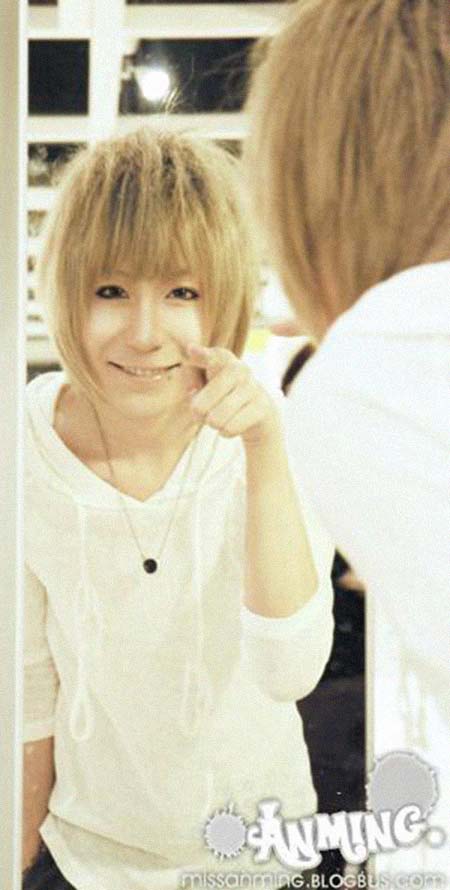 ���������͸���������Ƭ